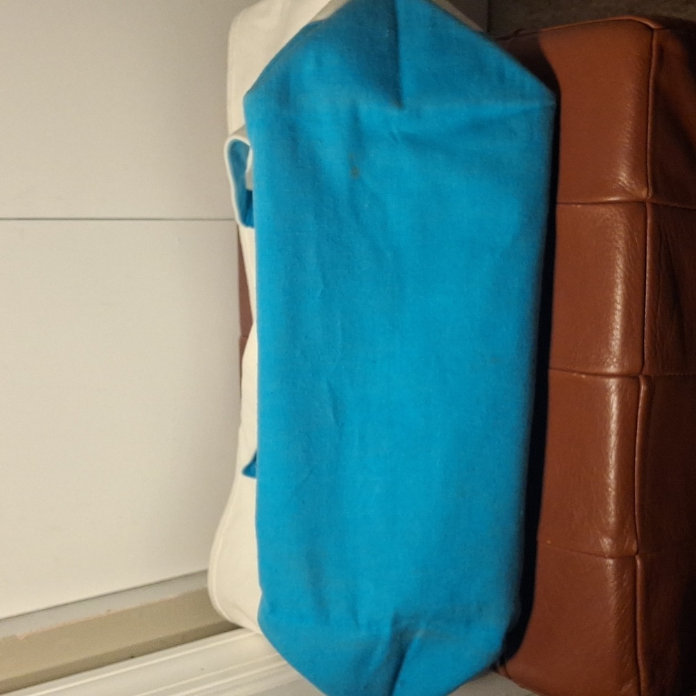 Black Dog Canvas Tote Bag with Blue Accents - Picture 4 of 8